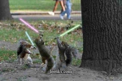 funny_sf_pics_8_20140414_1316830170