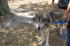 renfest_2009_11_20140430_1996365366